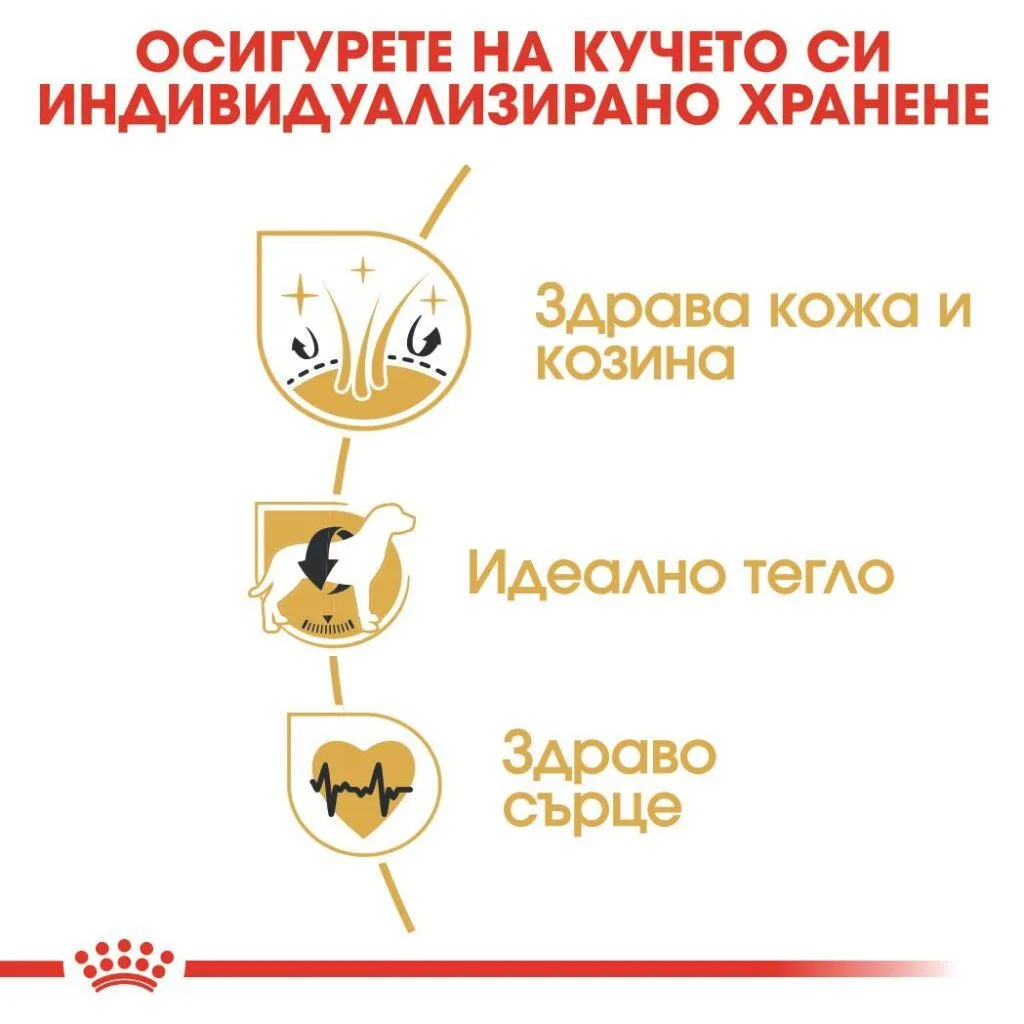 ROYAL CANIN® BHN COCKER ADULT 12кг - изображение 2