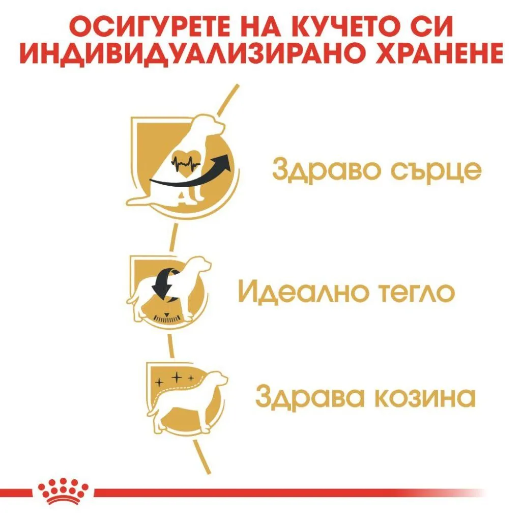 ROYAL CANIN® BHN CAVALIER KING CHARLES ADULT 1.5кг - изображение 2