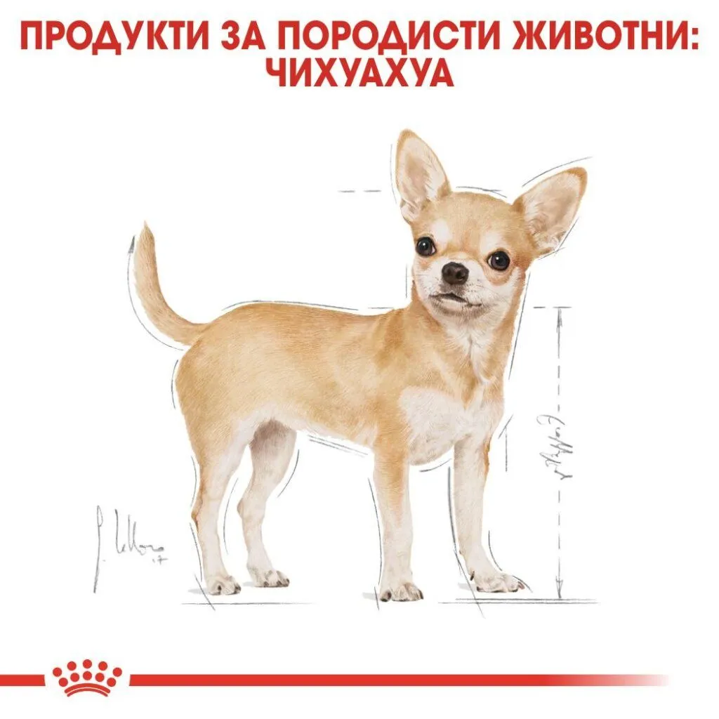 ROYAL CANIN® BHN CHIHUAHUA pate 85g - изображение 4