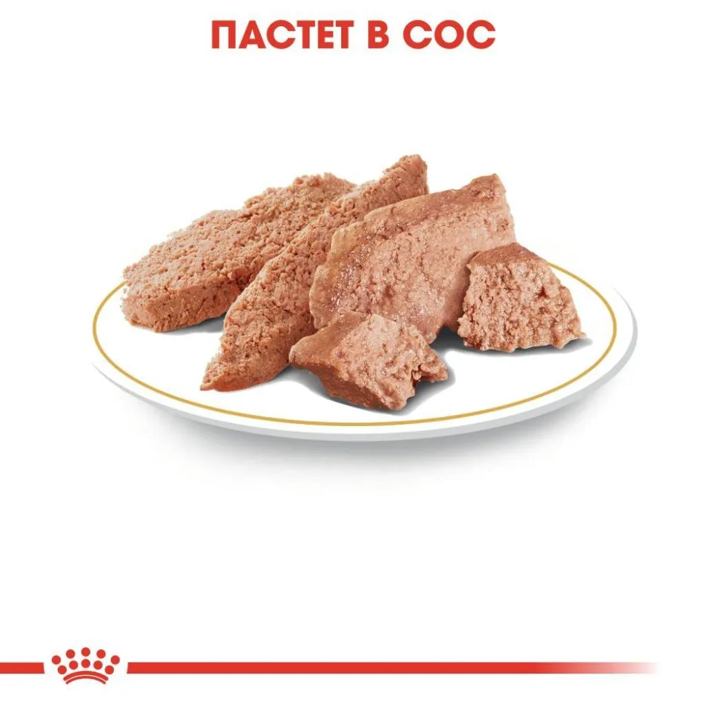 ROYAL CANIN® BHN CHIHUAHUA pate 85g - изображение 3