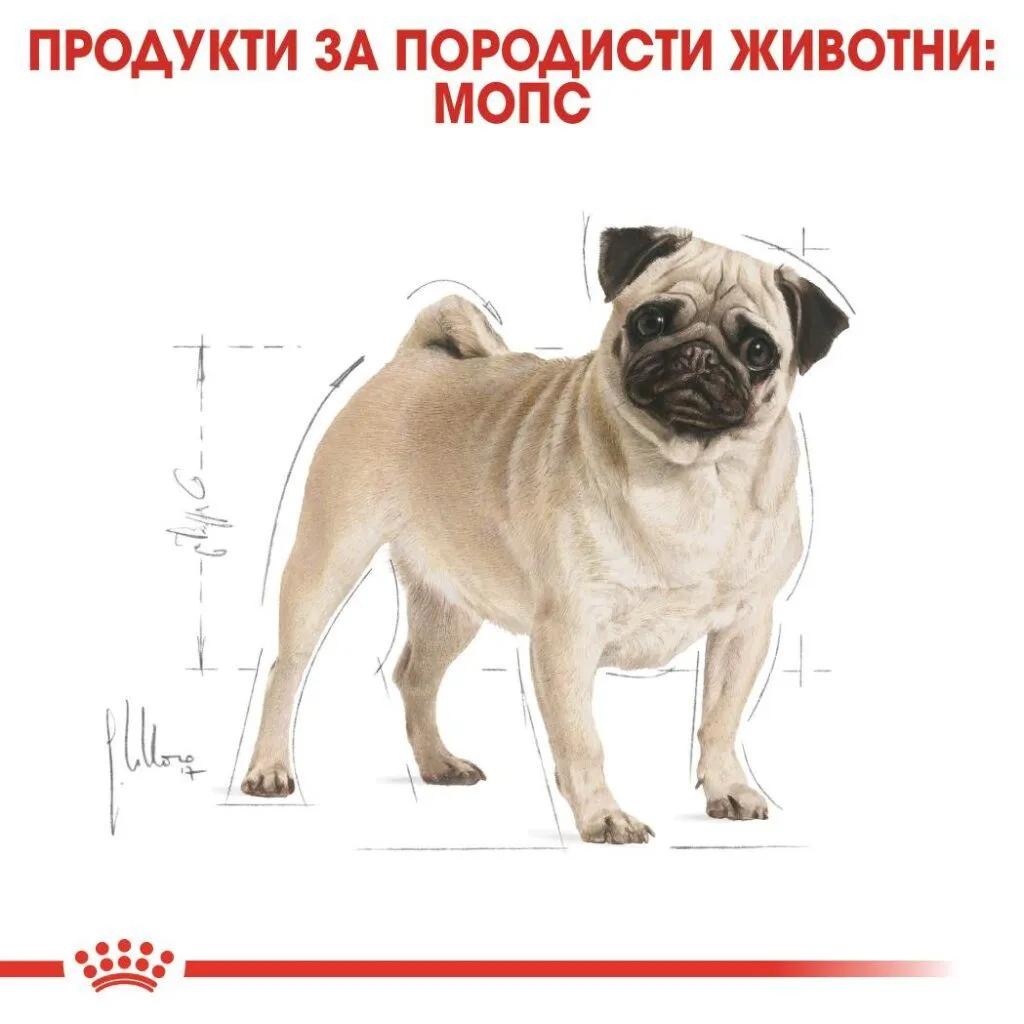 ROYAL CANIN® BHN PUG ADULT 1.5kg - изображение 4