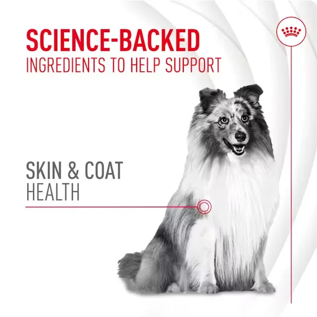 ROYAL CANIN® SKIN AND COAT SUPPLEMENT FOR ADULT BIRDS 240 GRAMS - изображение 2