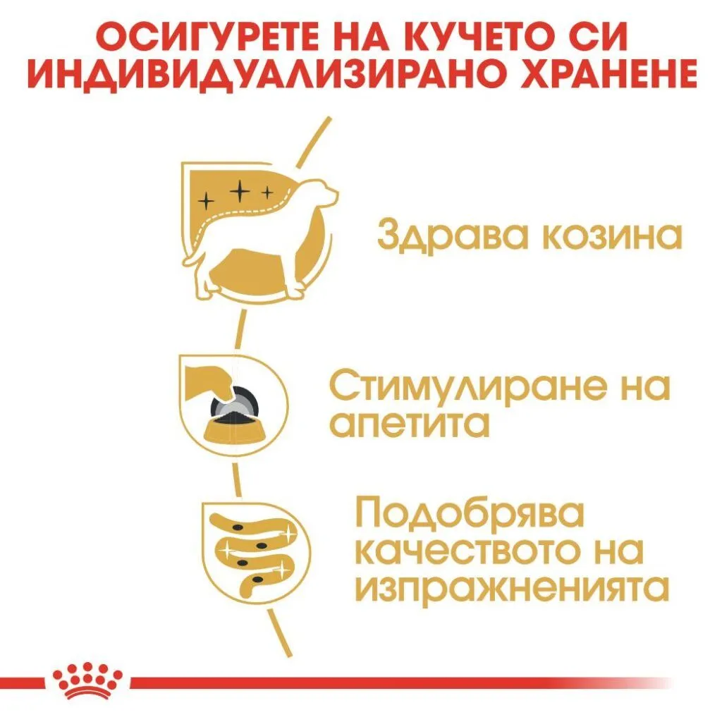 ROYAL CANIN® BHN YORKSHIRE TERRIER ADULT paste 85g - изображение 3