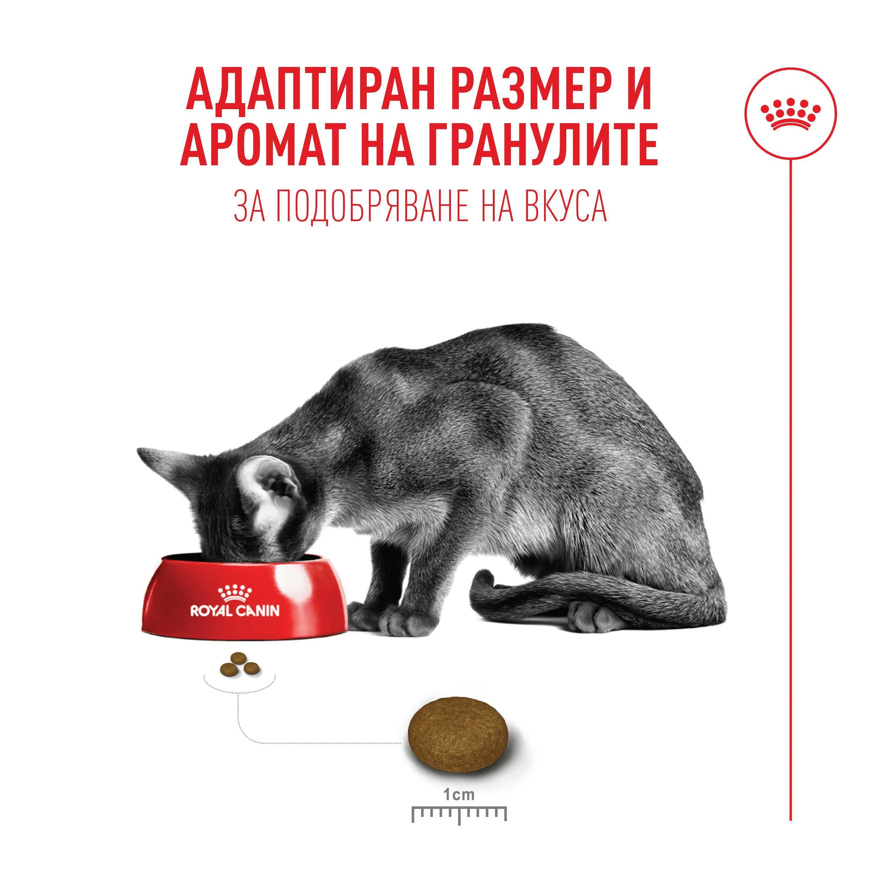 ROYAL CANIN® FHN FUSSY CAT 2 kg - изображение 9