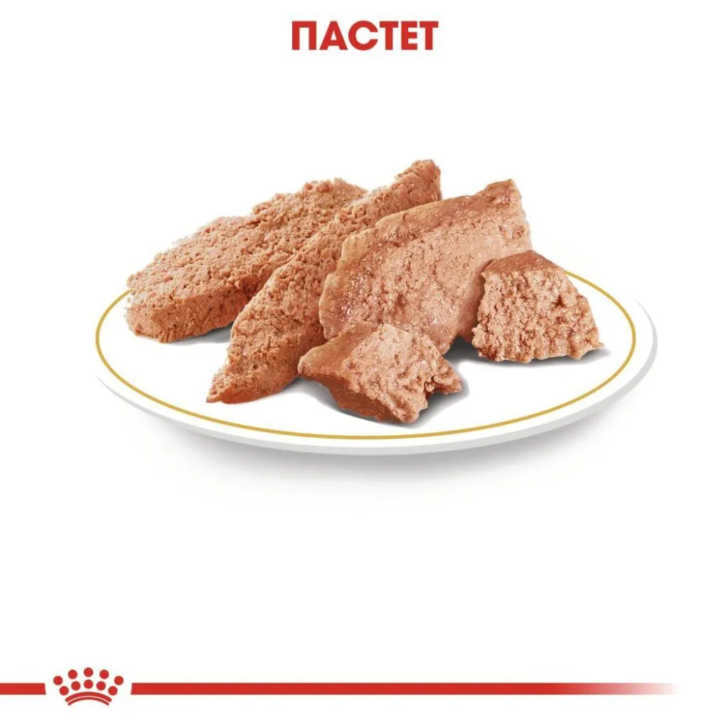 ROYAL CANIN® BHN YORKSHIRE TERRIER ADULT paste 85g - изображение 4