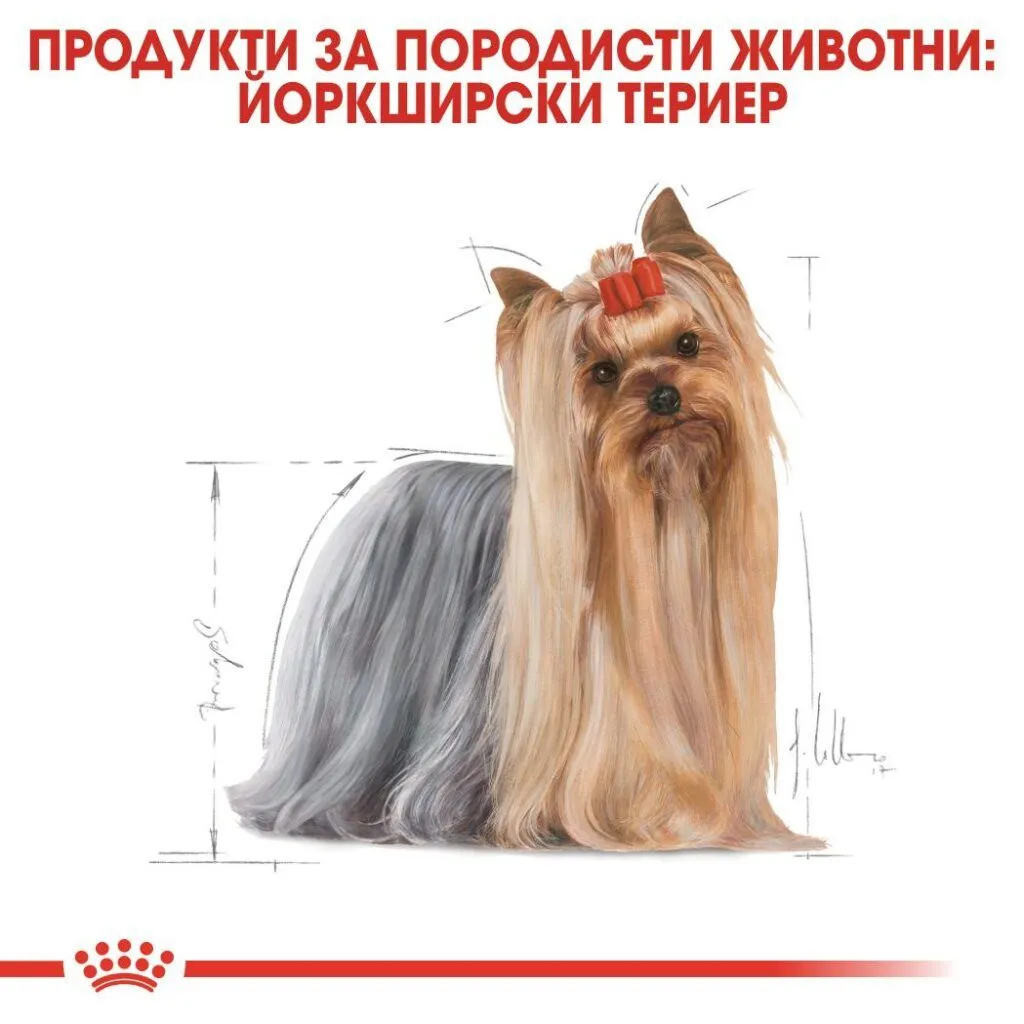ROYAL CANIN® BHN YORKSHIRE ADULT 0.5kg - изображение 5