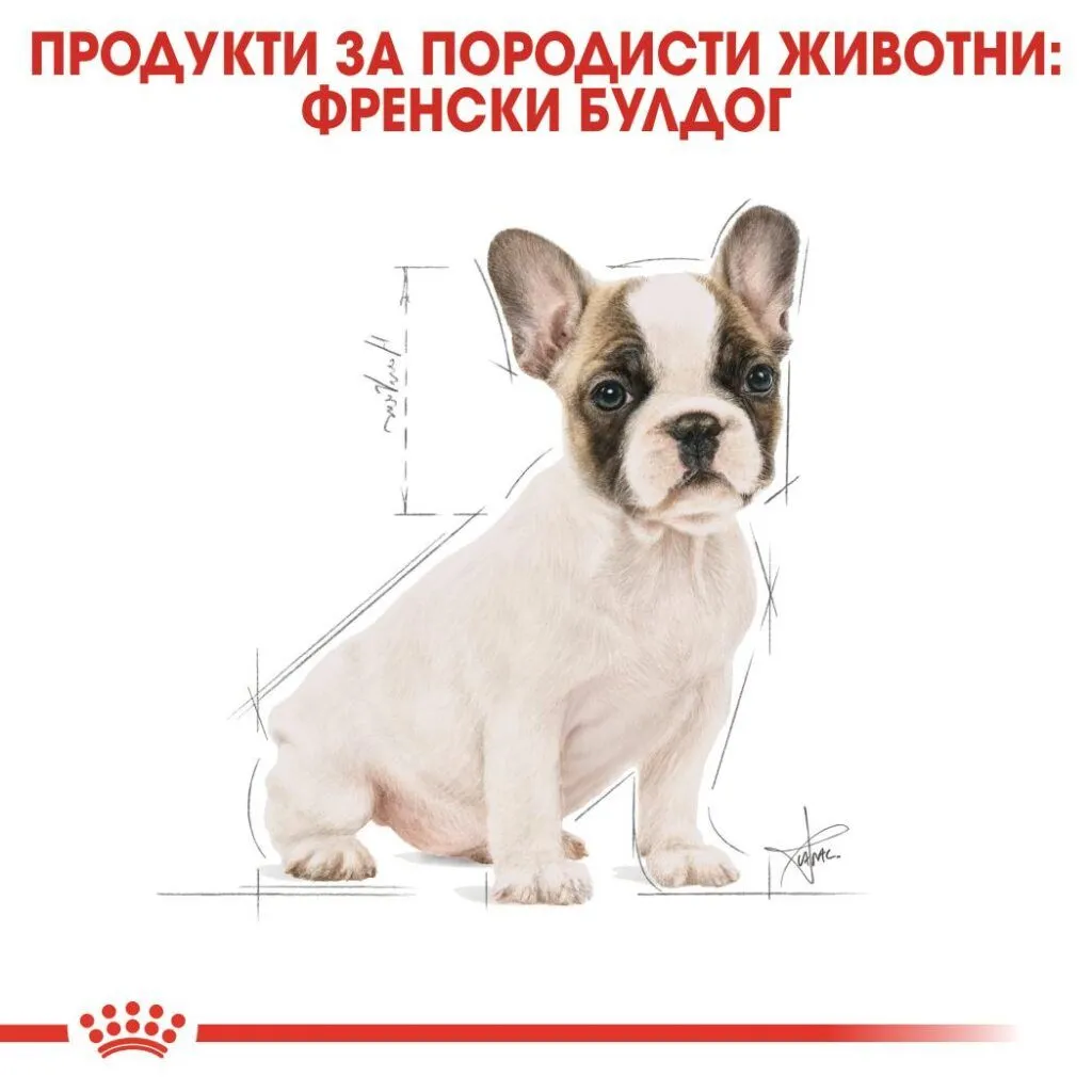 ROYAL CANIN® BHN FRENCH BULLDOG PUPPY 3kg - изображение 2