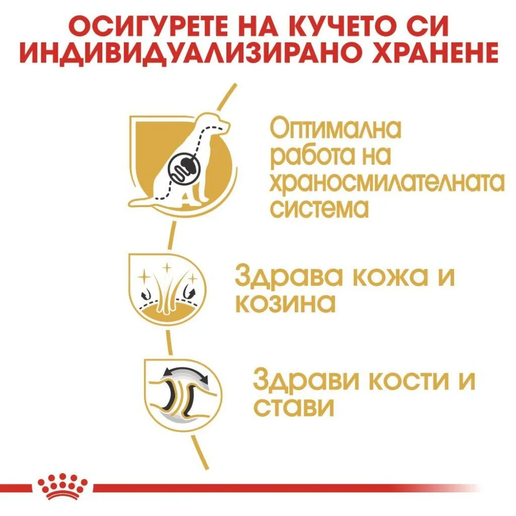 ROYAL CANIN® BHN GERMAN SHEPHERD ADULT 11кг - изображение 2