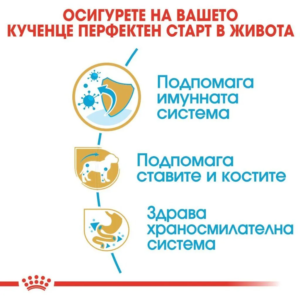 ROYAL CANIN® BHN DACHSHUND PUPPY 1.5kg - изображение 2