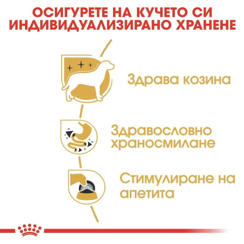 ROYAL CANIN® BHN CHIHUAHUA pate 85g - изображение 2