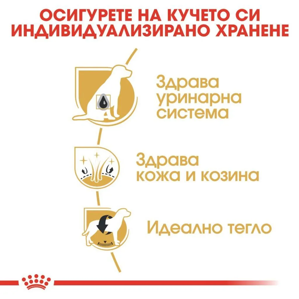 ROYAL CANIN® BHN BICHON FRISE ADULT 1.5kg - изображение 2