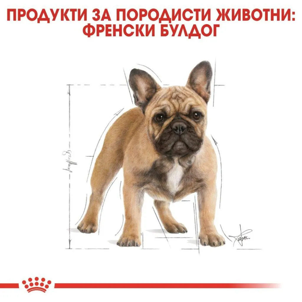 ROYAL CANIN® BHN FRENCH BULLDOG ADULT 3kg - изображение 4