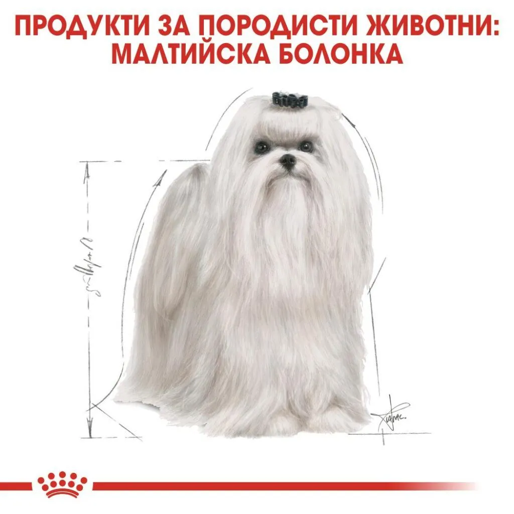 ROYAL CANIN® BHN MALTESE ADULT 1.5kg - изображение 4