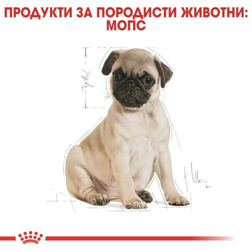 ROYAL CANIN® BHN PUG PUPPY 1.5kg - изображение 2