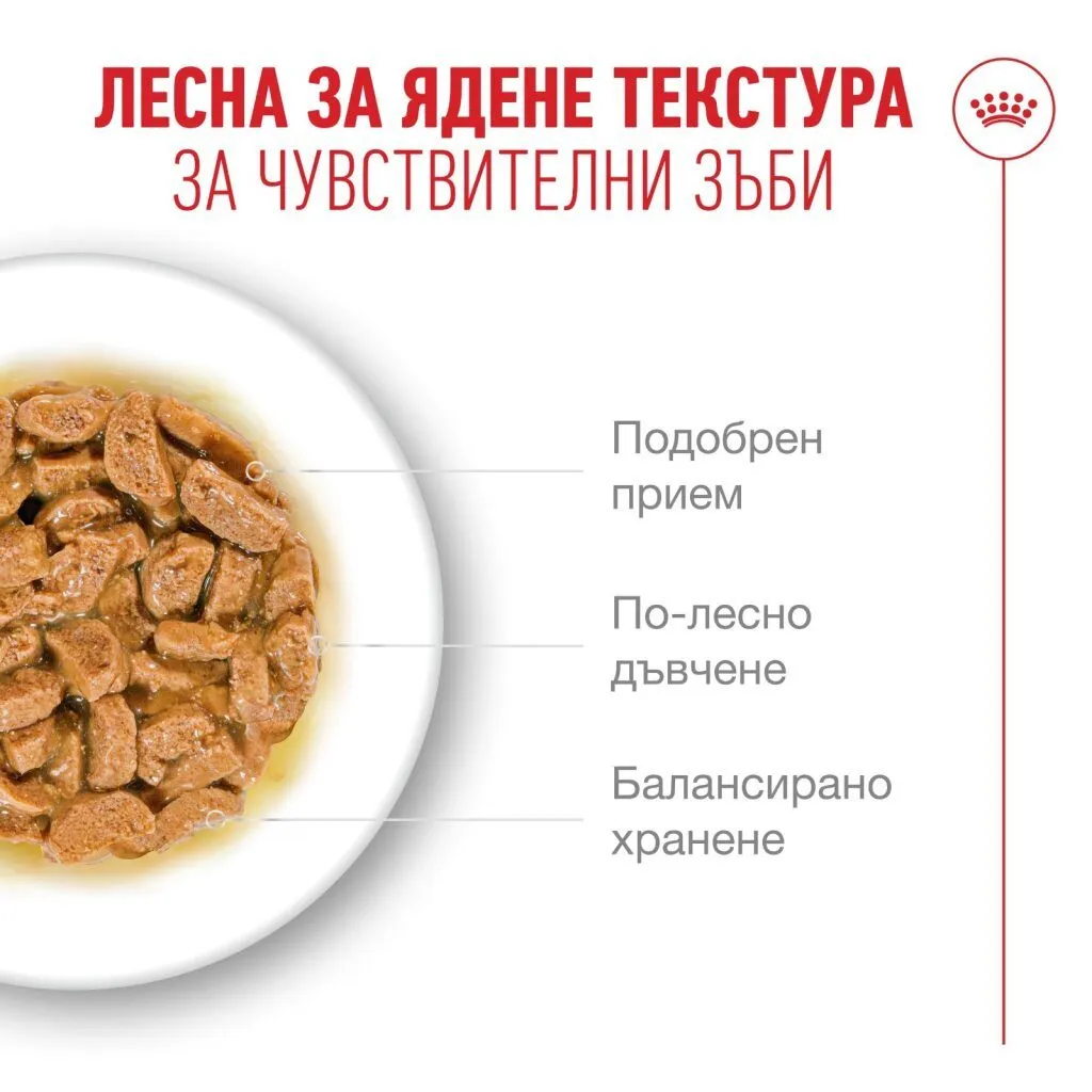 ROYAL CANIN® FHN AGEING 11+ 12x85 г - изображение 5