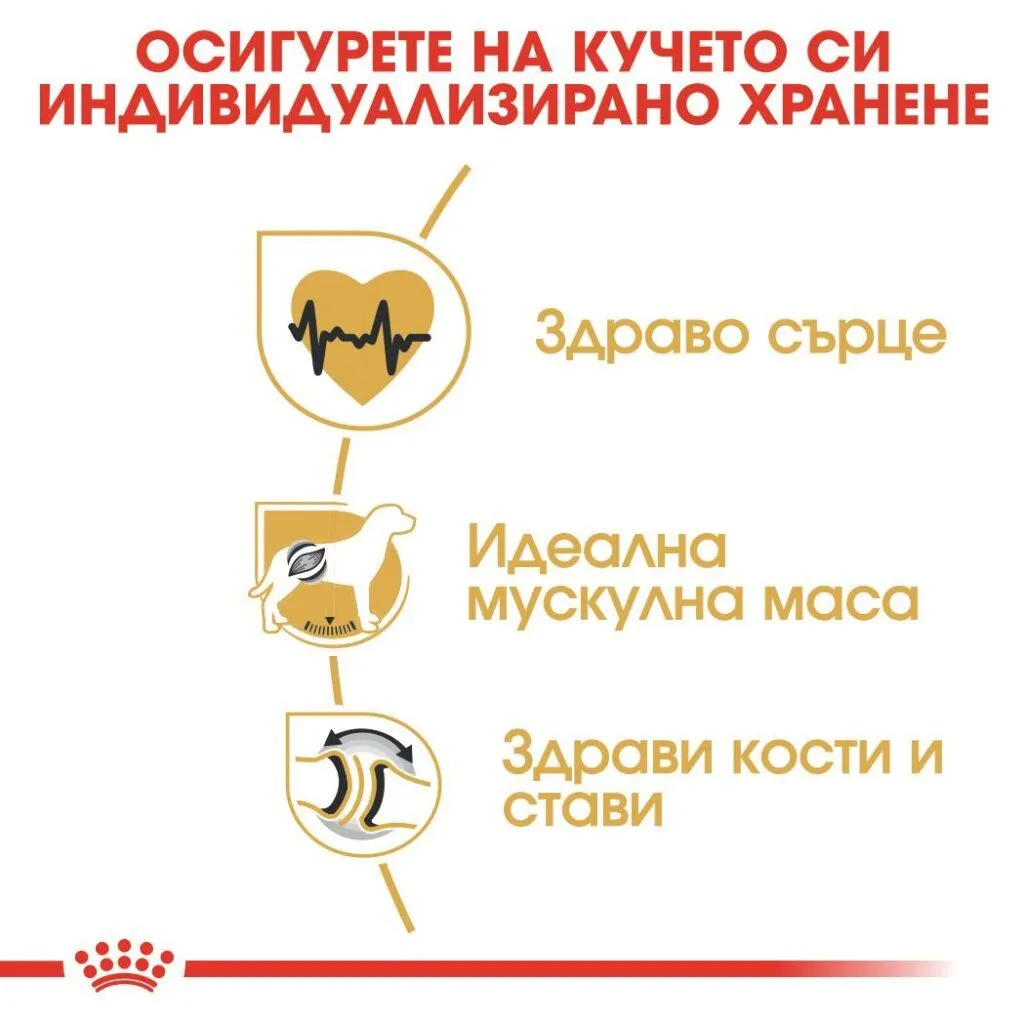 ROYAL CANIN® BHN ROTTWEILER ADULT 12kg - изображение 3