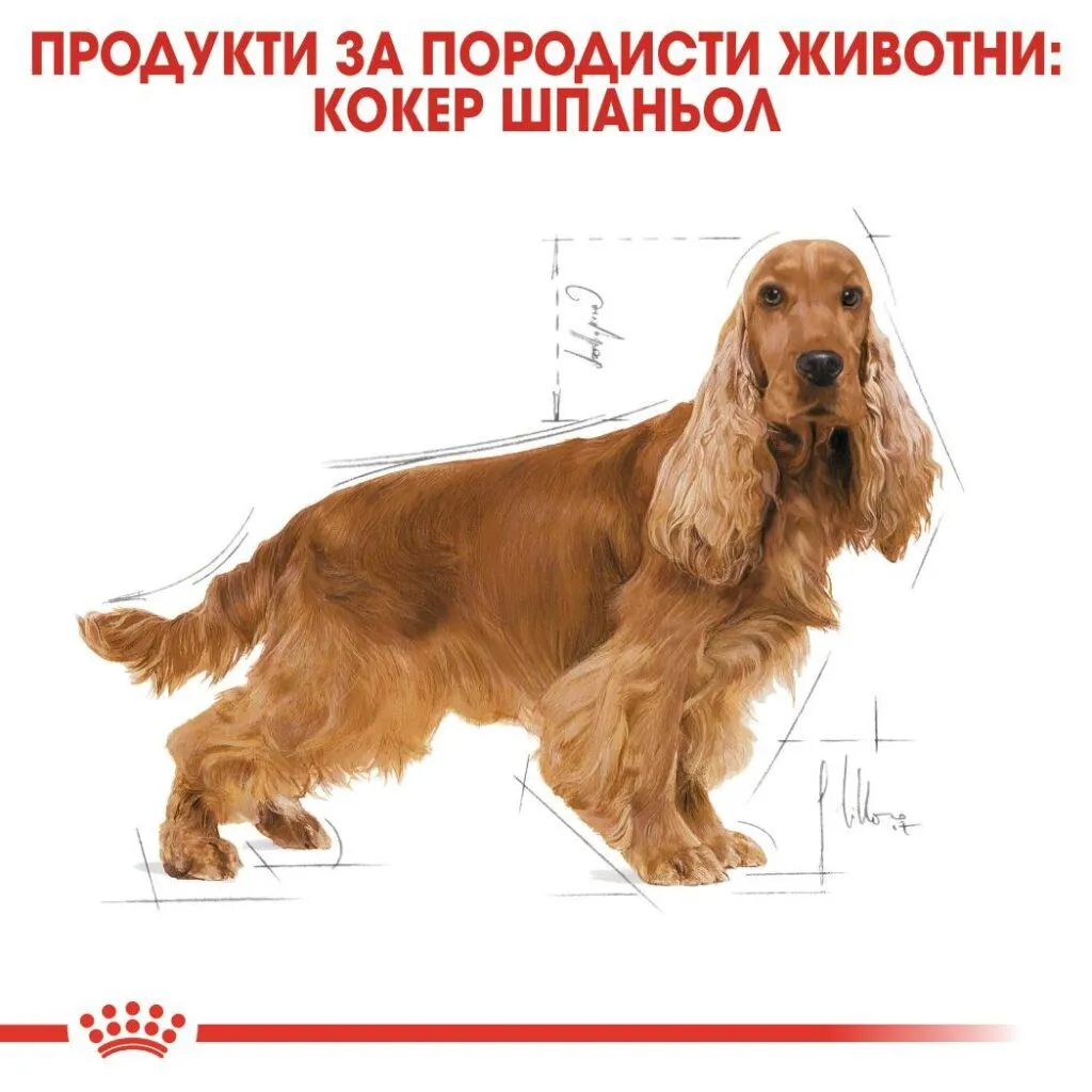 ROYAL CANIN® BHN COCKER ADULT 12кг - изображение 4