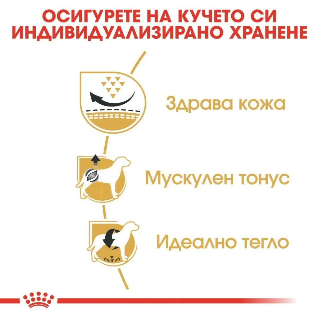 ROYAL CANIN® BHN PUG ADULT 1.5kg - изображение 2