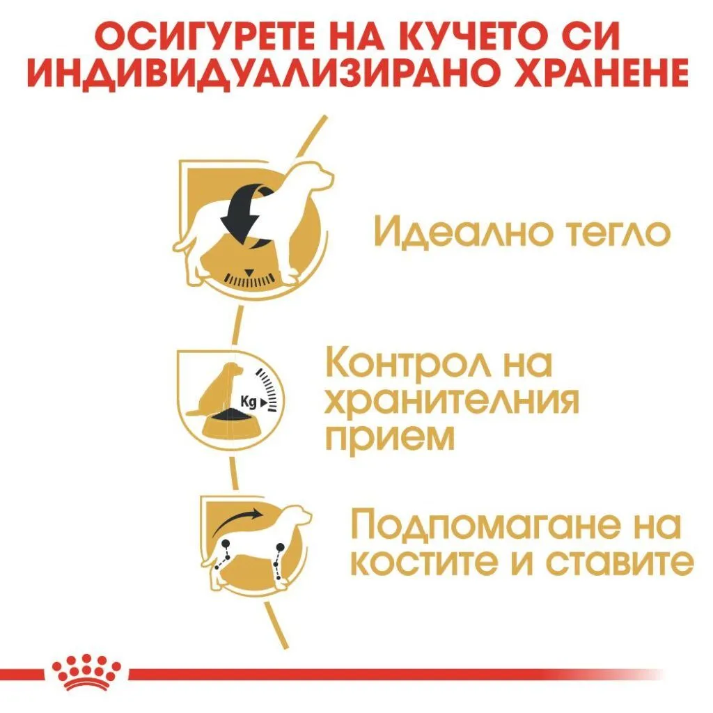 ROYAL CANIN® BHN BEAGLE ADULT 3кг - изображение 2