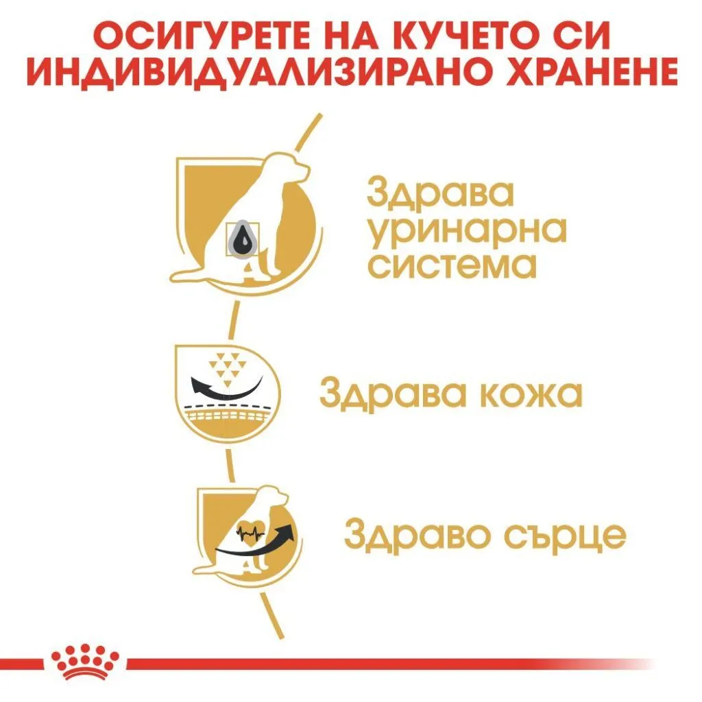 ROYAL CANIN® BHN DALMATIАN ADULT 12кг - изображение 2