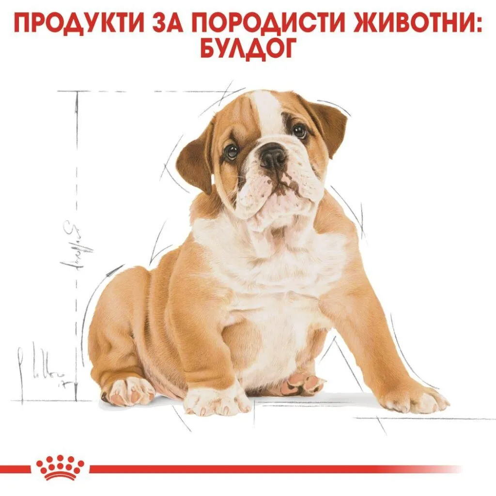 ROYAL CANIN® BHN BULLDOG PUPPY 3kg - изображение 3
