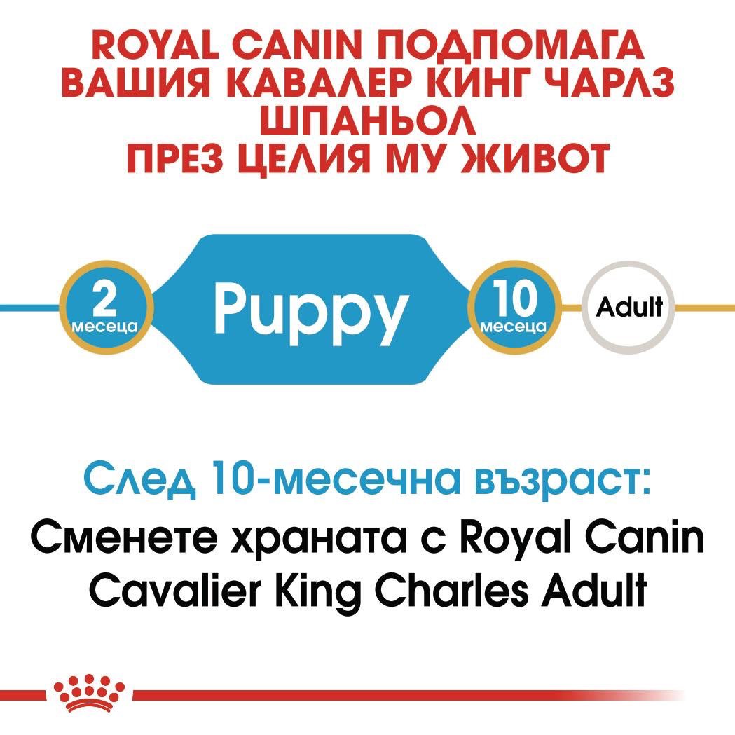 ROYAL CANIN® BHN CAVALIER KING CHARLES SPANIEL PUPPY 1.5кг - изображение 3