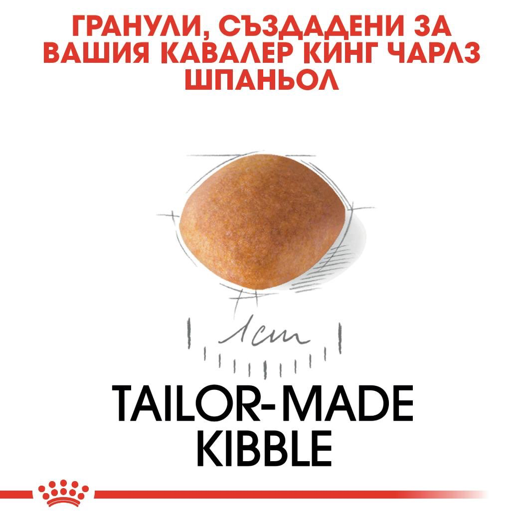 ROYAL CANIN® BHN CAVALIER KING CHARLES SPANIEL PUPPY 1.5кг - изображение 2