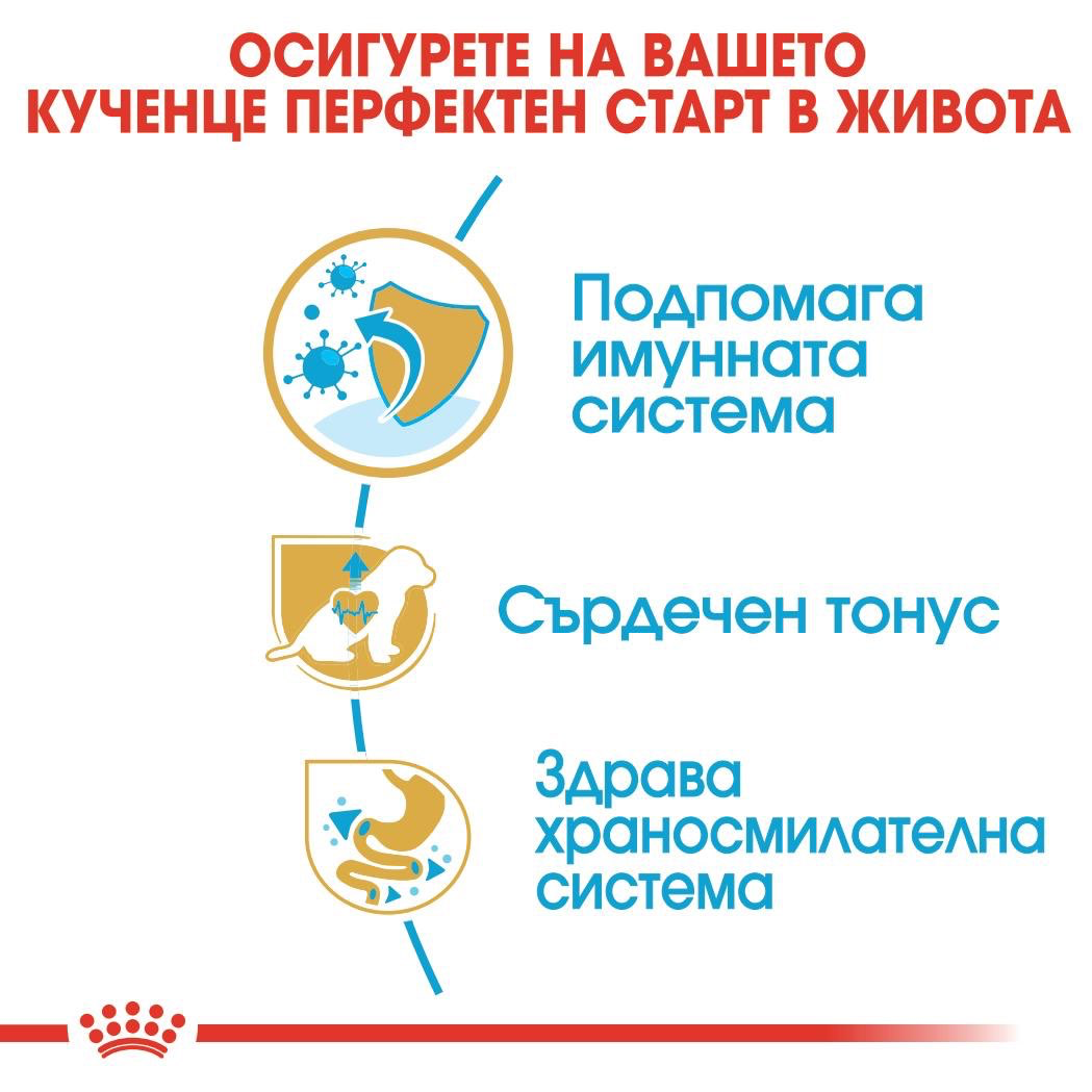ROYAL CANIN® BHN CAVALIER KING CHARLES SPANIEL PUPPY 1.5кг - изображение 4