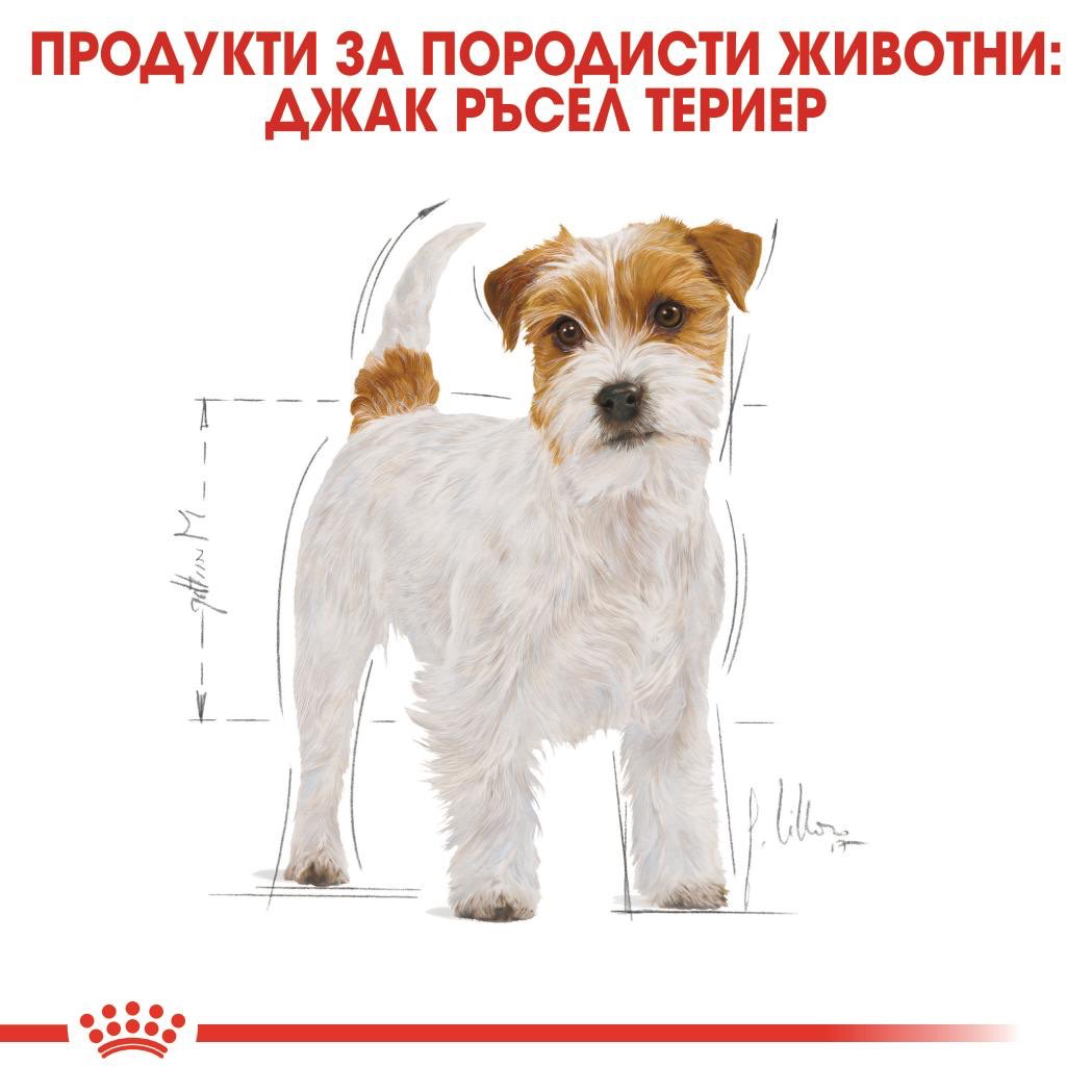 ROYAL CANIN® BHN JACK RUSSEL ADULT 1.5кг - изображение 1
