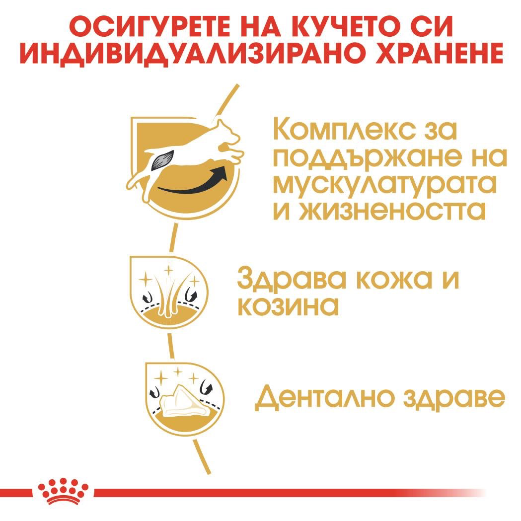 ROYAL CANIN® BHN JACK RUSSEL ADULT 1.5кг - изображение 4