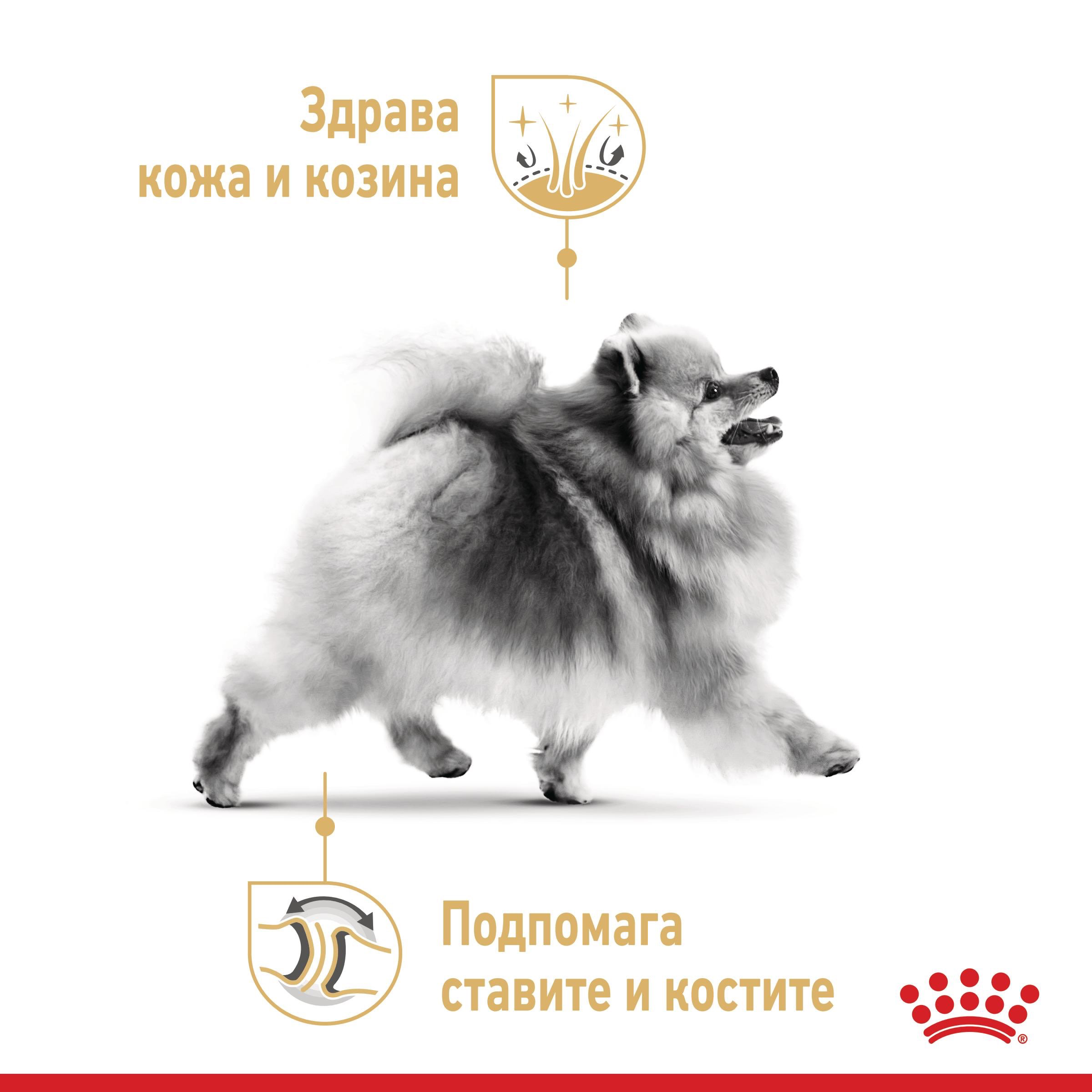 ROYAL CANIN® BHN POMERANIAN ADULT 500г - изображение 2