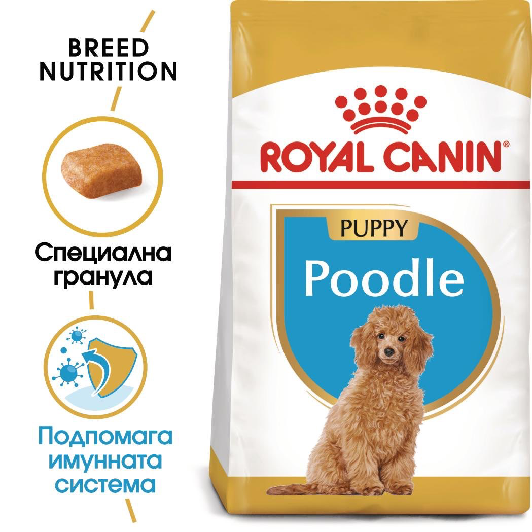 ROYAL CANIN® BHN POODLE PUPPY 500 g