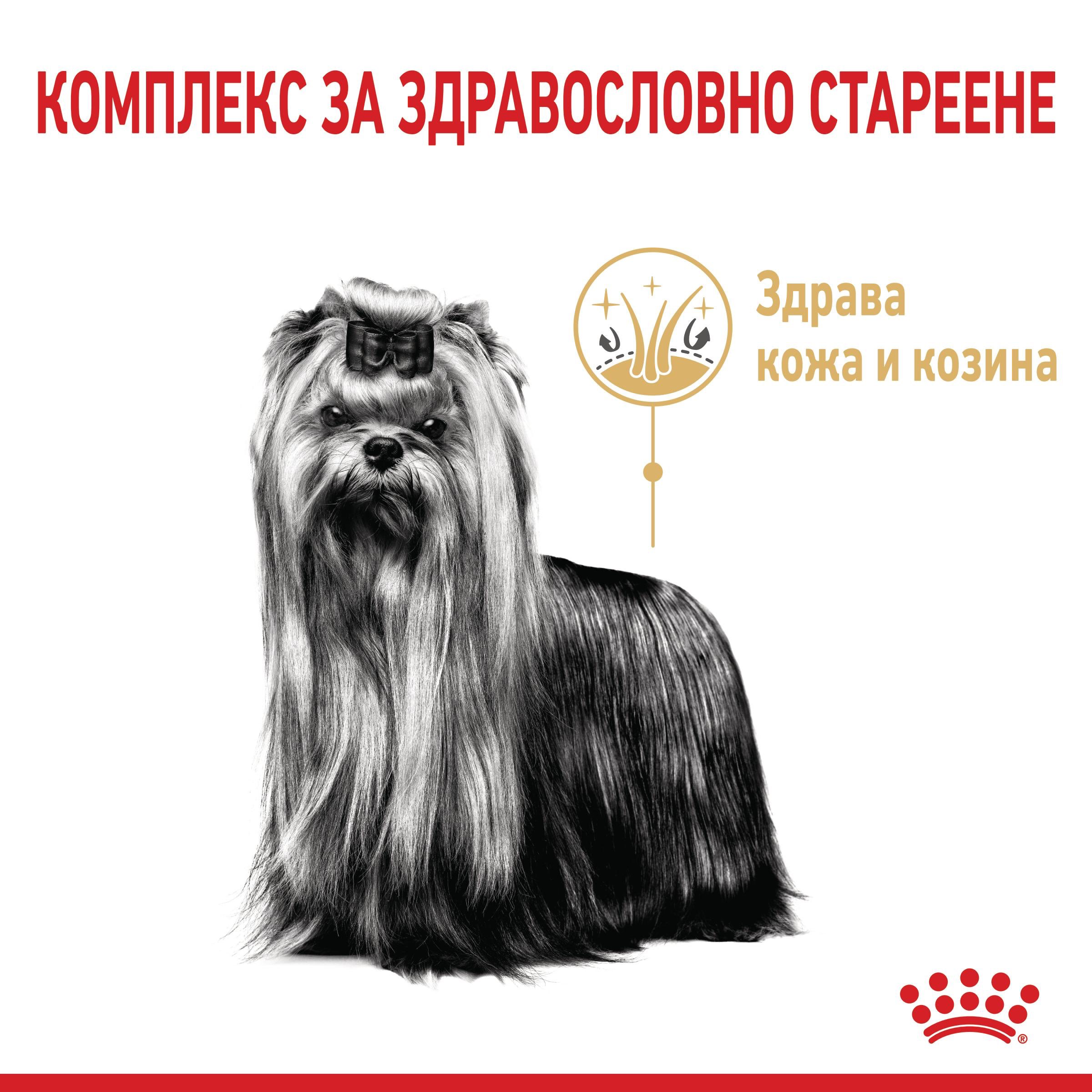 ROYAL CANIN® BHN YORKSHIRE TERRIER 8+ 1.5 kg - изображение 2
