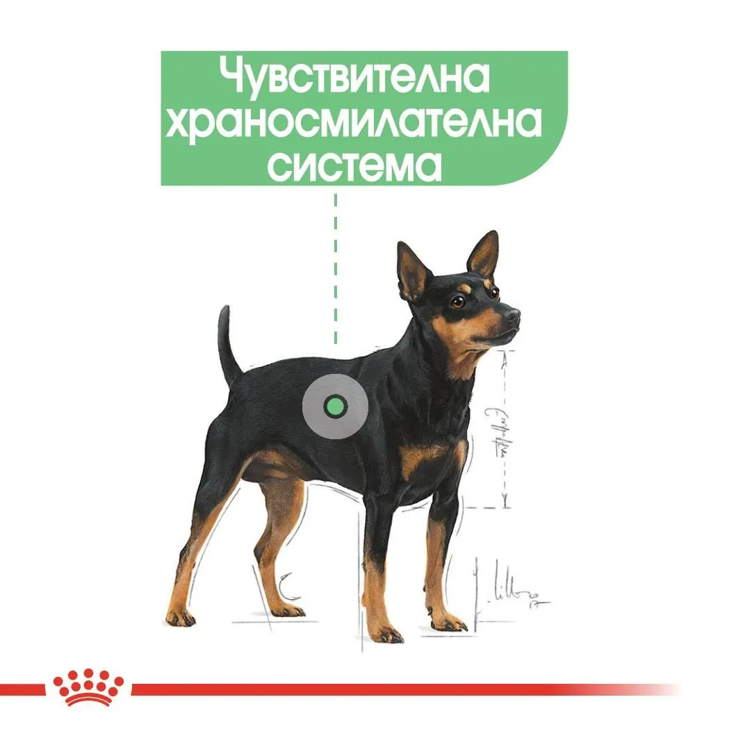 ROYAL CANIN® CCN DIGESTIVE CARE пастет 85г - изображение 5