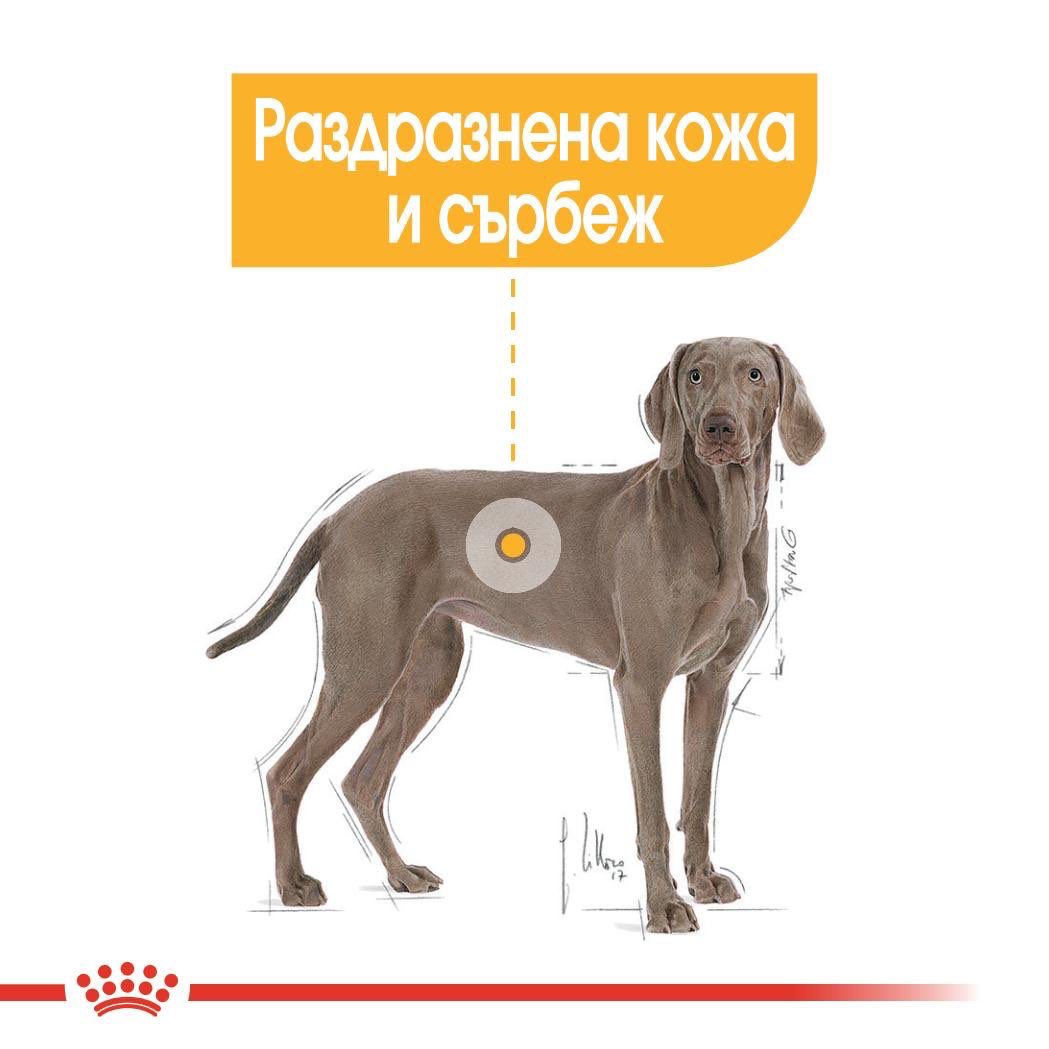 ROYAL CANIN® CCN MAXI DERMACOMFORT 12 кг - изображение 1