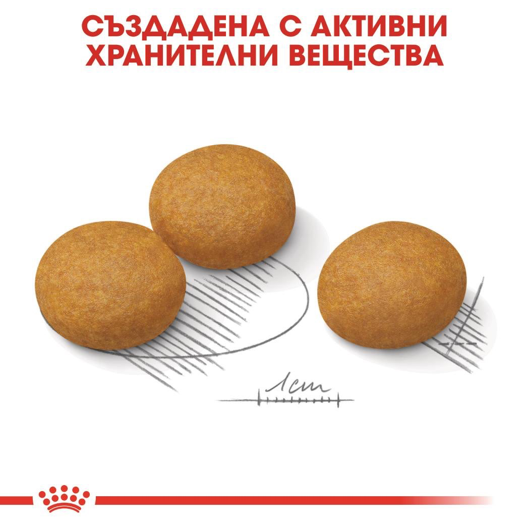 ROYAL CANIN® CCN MAXI DERMACOMFORT 12 кг - изображение 4