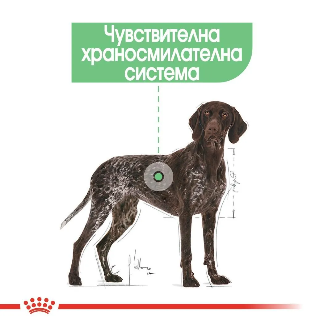 ROYAL CANIN® CCN MAXI DIGESTIVE CARE 3кг - изображение 1
