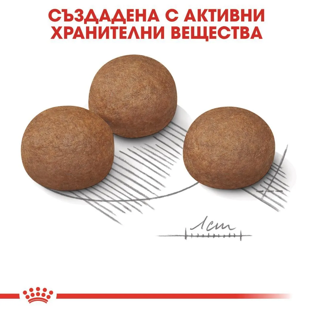 ROYAL CANIN® CCN MAXI DIGESTIVE CARE 3кг - изображение 4