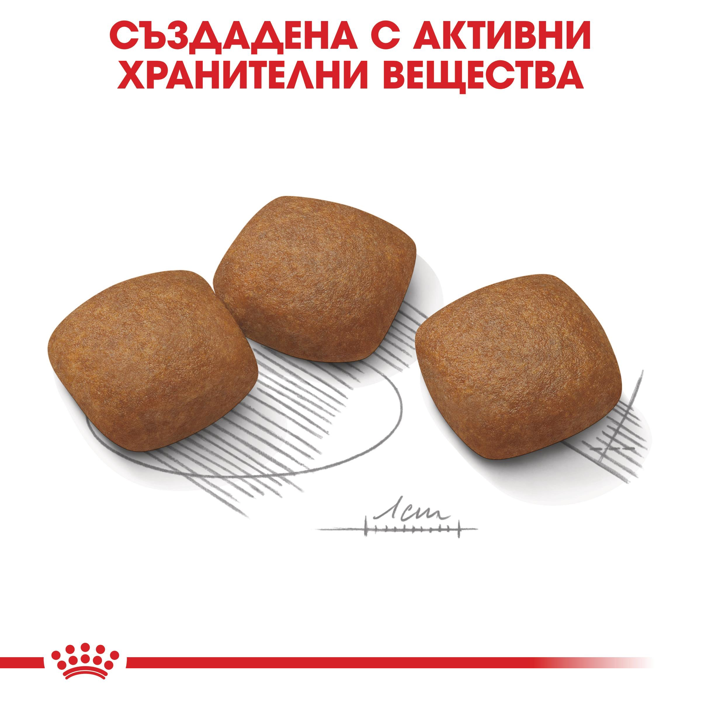 ROYAL CANIN® CCN MAXI JOINT CARE 10 кг - изображение 3