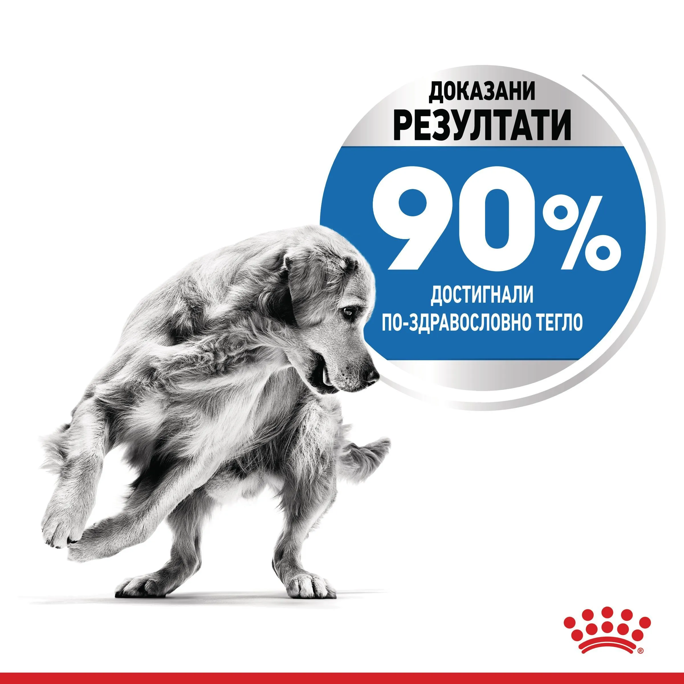 ROYAL CANIN® CCN MAXI LIGHT WEIGHT CARE  12кг - изображение 3