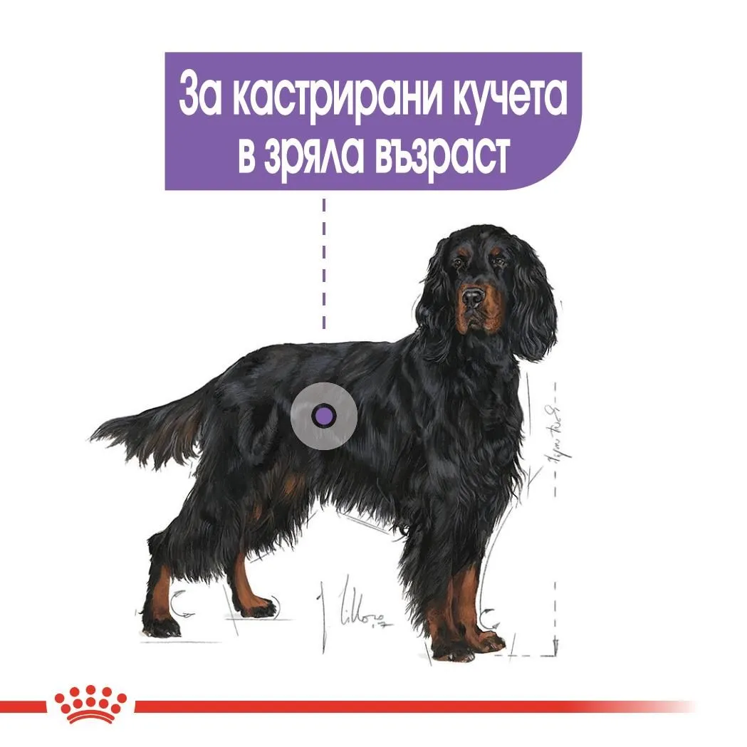 ROYAL CANIN® CCN MAXI STERILIZED ADULT 12кг - изображение 5