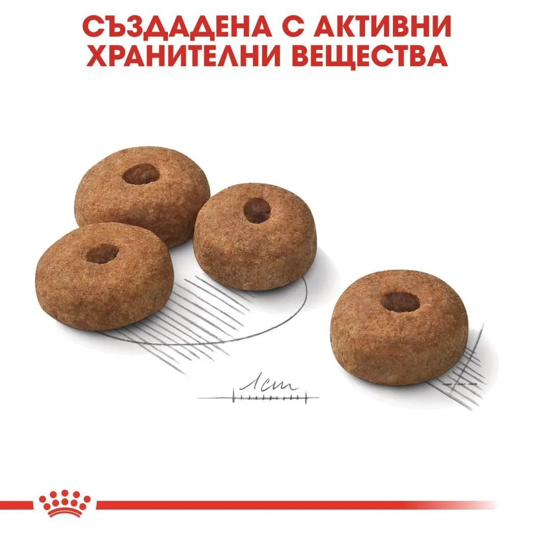 ROYAL CANIN® CCN MAXI STERILIZED ADULT 12кг - изображение 3