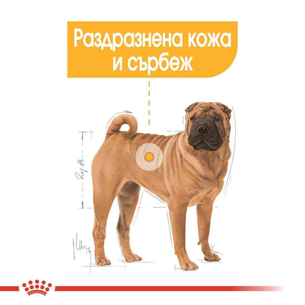 ROYAL CANIN® CCN MEDIUM DERMACOMFORT 3 кг - изображение 1