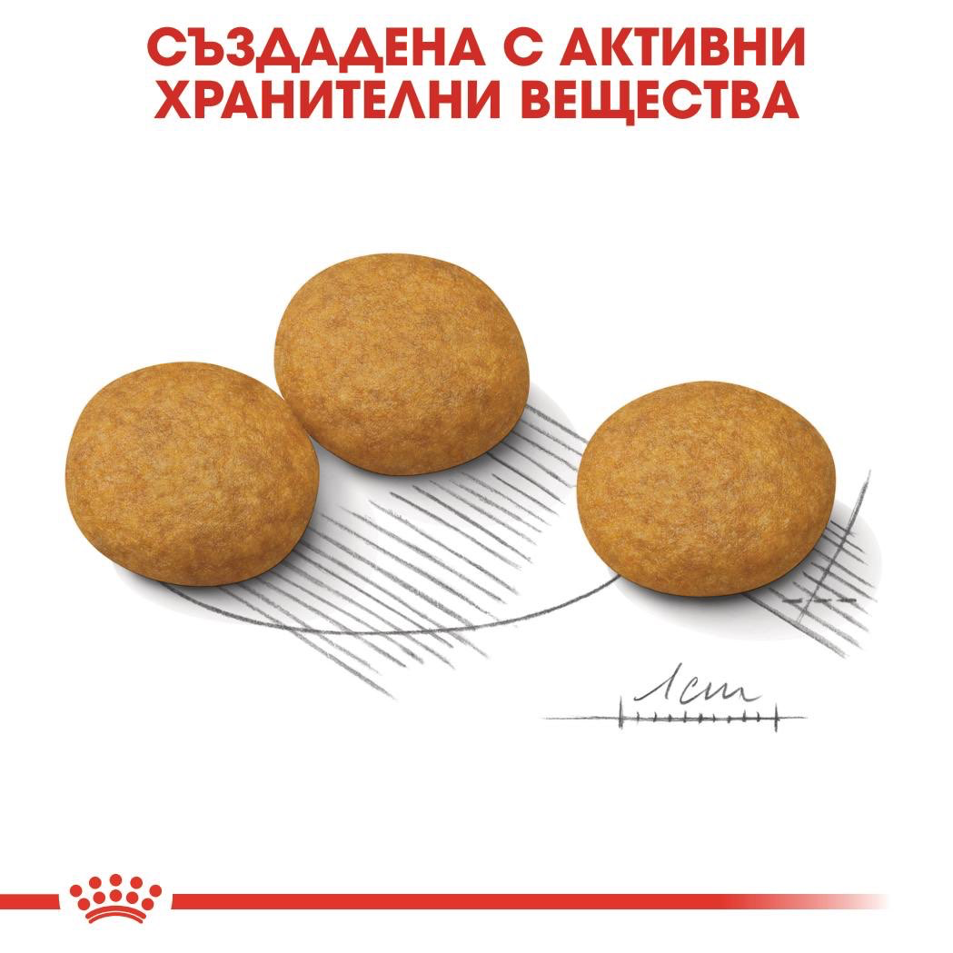 ROYAL CANIN® CCN MEDIUM DERMACOMFORT 3 кг - изображение 4