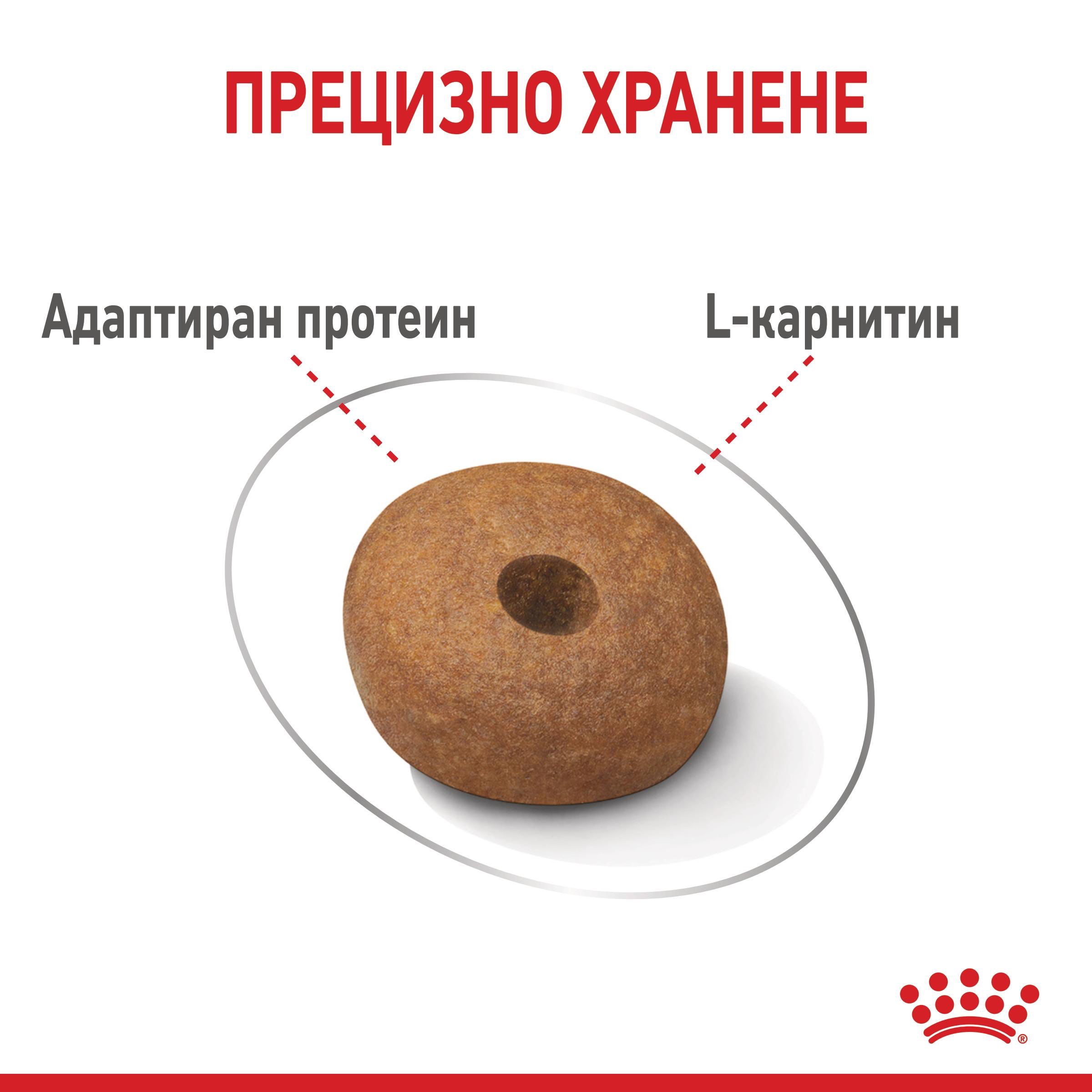 ROYAL CANIN® CCN MEDIUM LIGHT WEIGHT CARE 12 кг - изображение 4