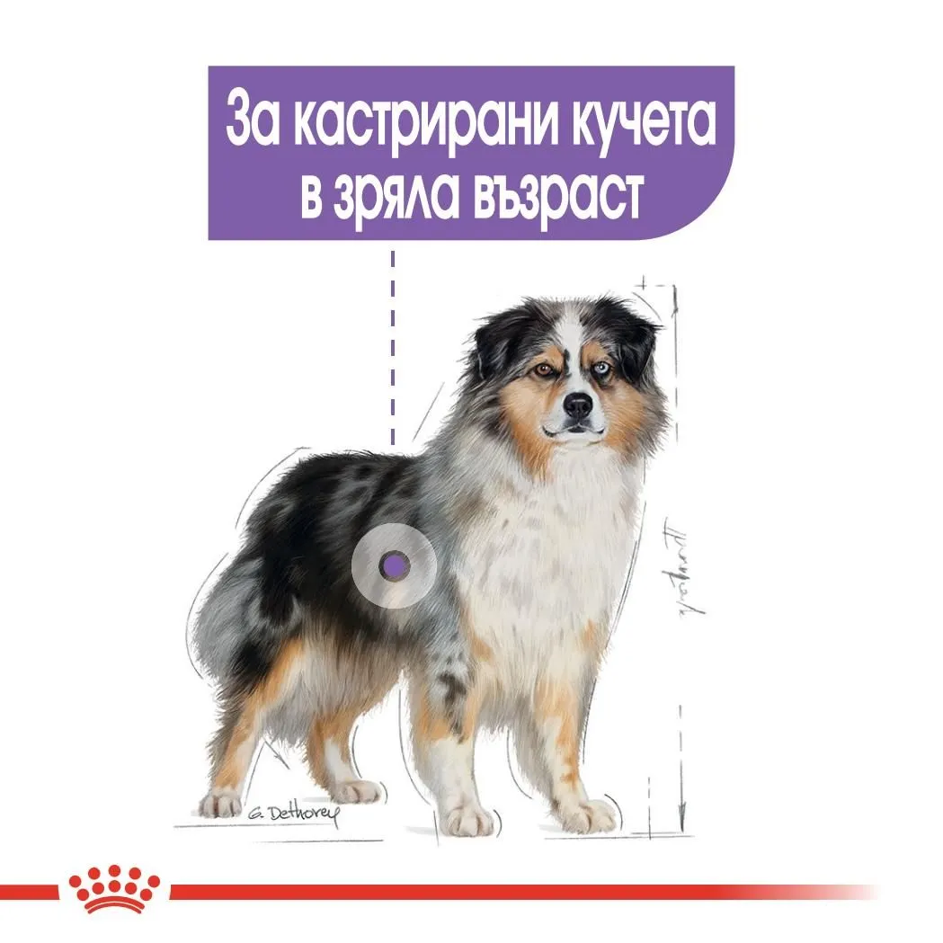 ROYAL CANIN® CCN MEDIUM STERILIZED 12кг  - изображение 5