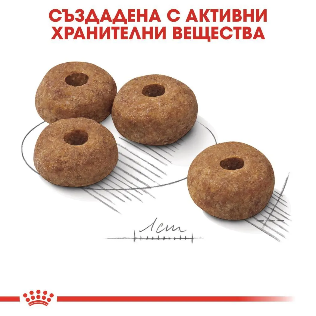 ROYAL CANIN® CCN MEDIUM STERILIZED 12кг  - изображение 3
