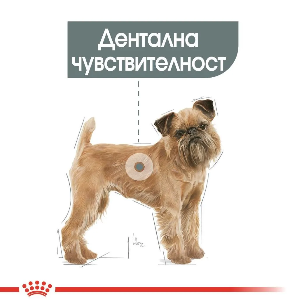 ROYAL CANIN® CCN MINI DENTAL CARE 1кг - изображение 4