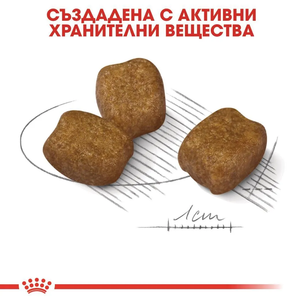 ROYAL CANIN® CCN MINI DENTAL CARE 1кг - изображение 2