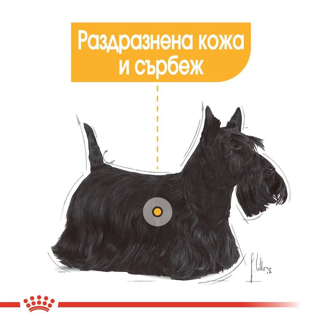 ROYAL CANIN® CCN MINI DERMACOMFORT 3кг - изображение 5